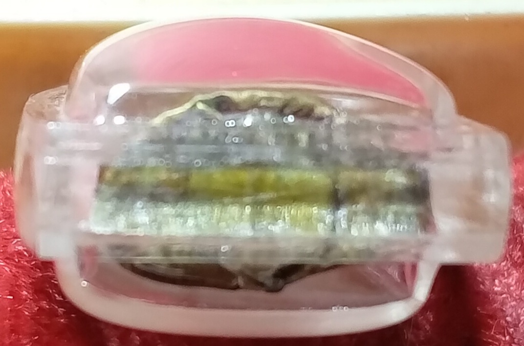 20230709_170758.jpg