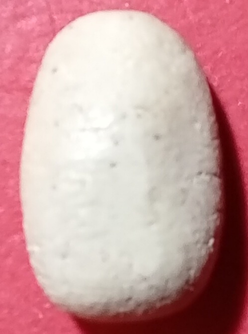 20230720_112220.jpg