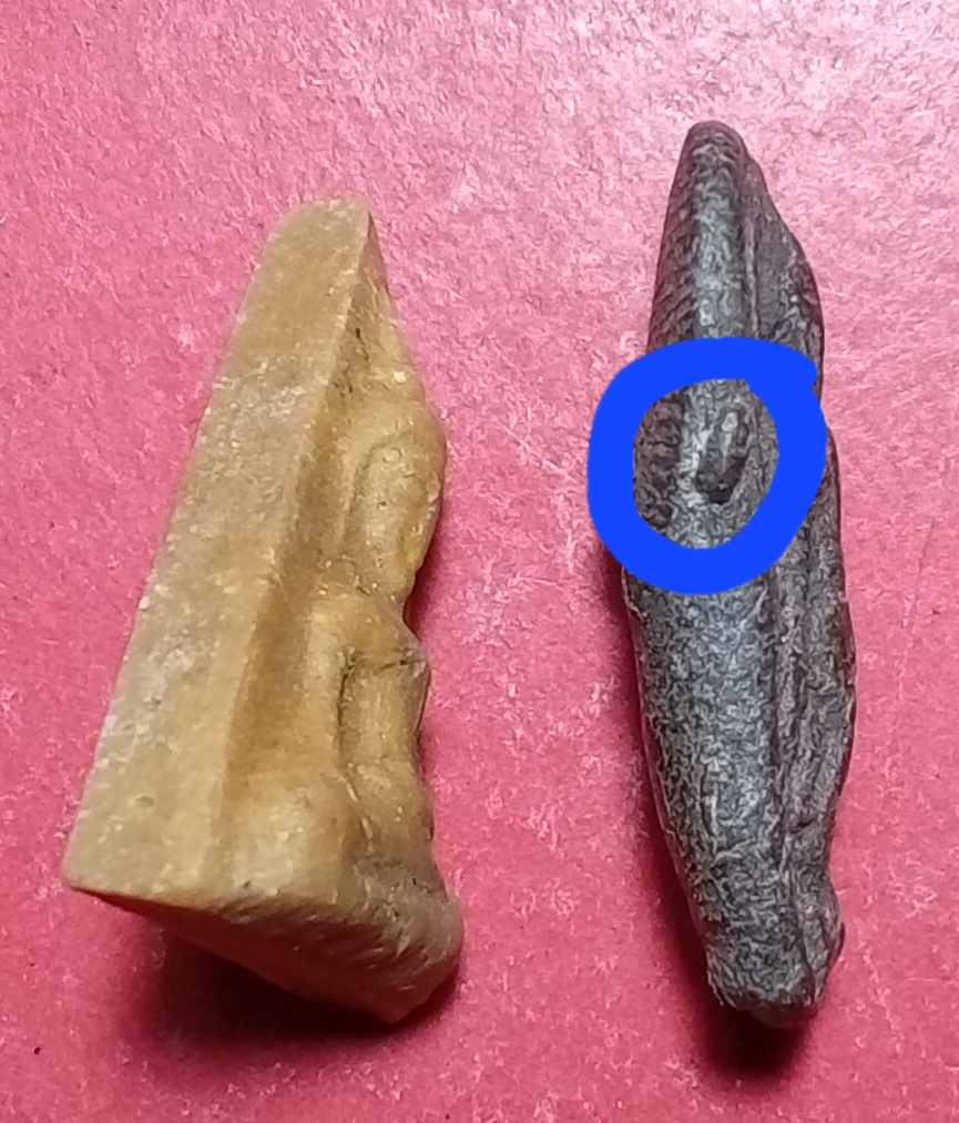 20251027_162054.jpg