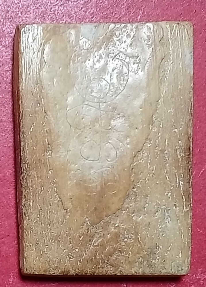 20260228_174610.jpg