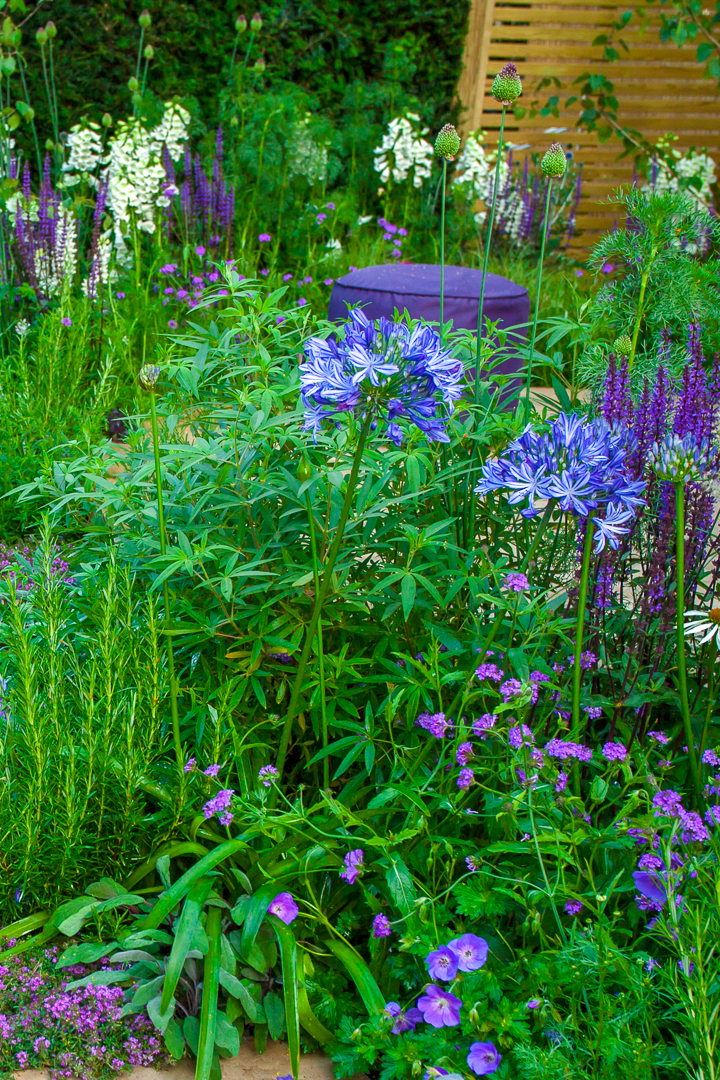 blue-and-white-garden-design-ideas-3.jpg