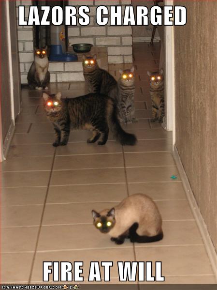 CatsEyes.jpg