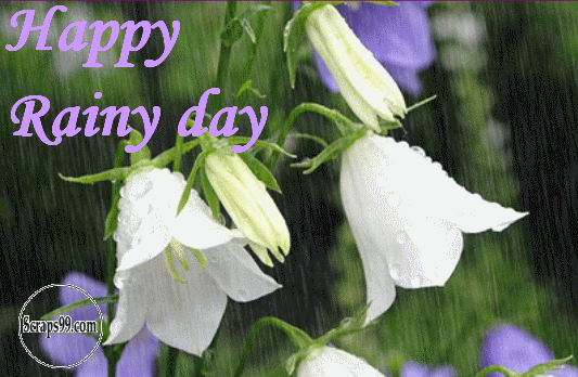 Happy-Rainy-Day-White-Flowers-Raining-Animated-Picture.gif