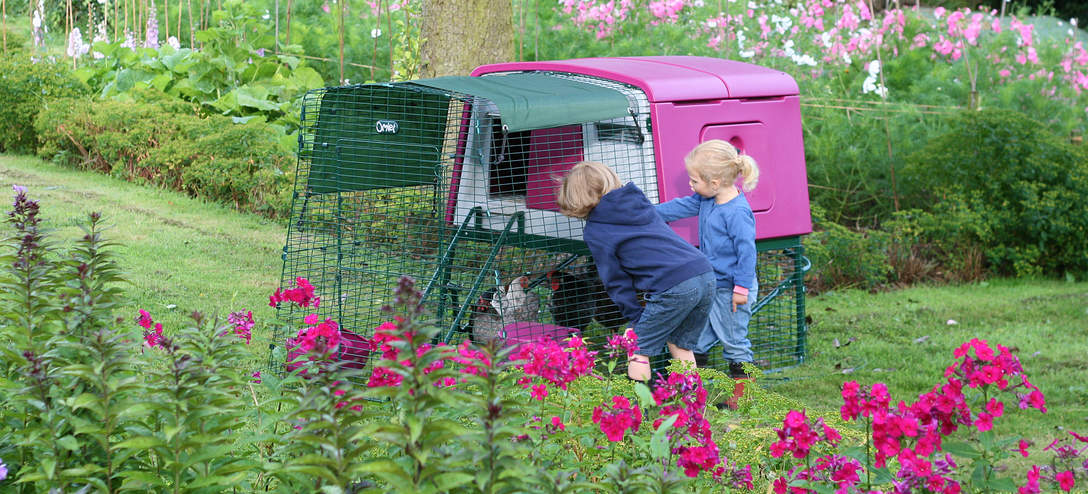 Purple_Cube2_in_flower_garden_with_children.jpg
