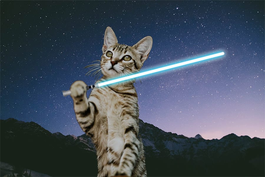star-wars-jedi-cat.jpg
