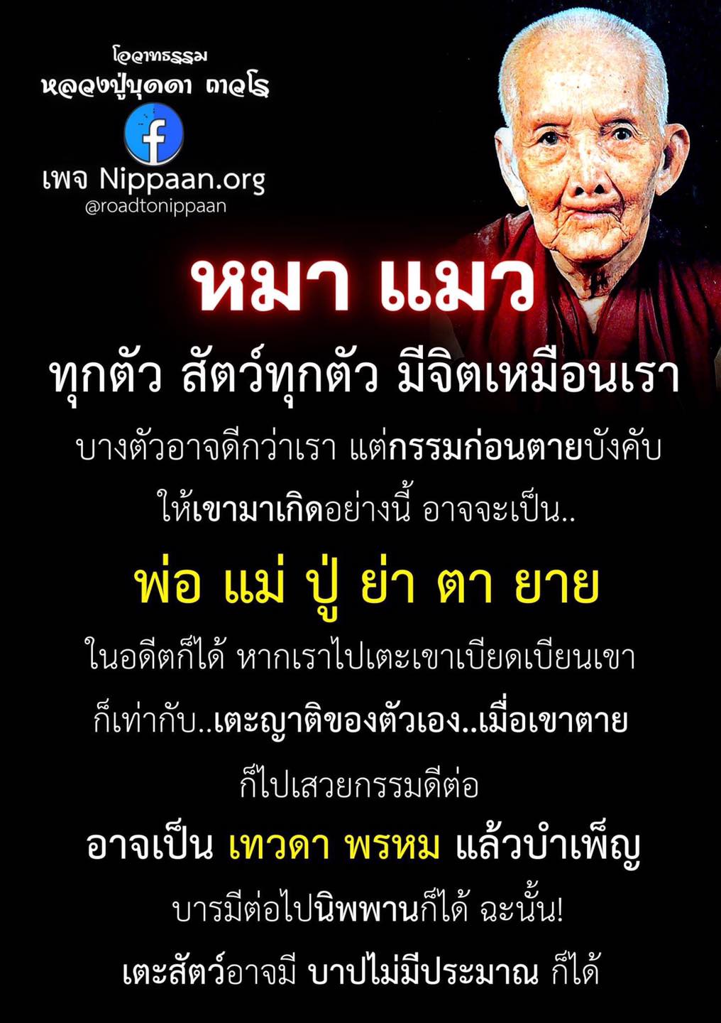 ?temp_hash=97aa34008b9fd3a71dc07d62a5f28773.jpg